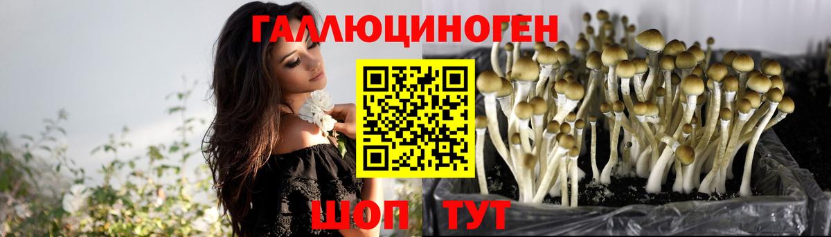 Галлюциногенные грибы мицелий Среднеуральск